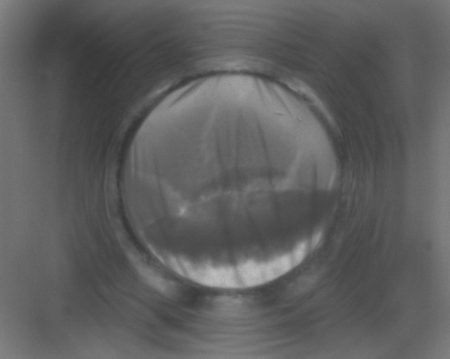 X0000081360394200702082326