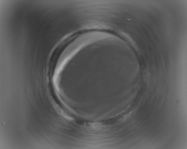 X0000081360395200702082326
