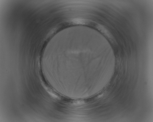 X0000081360398200702082326