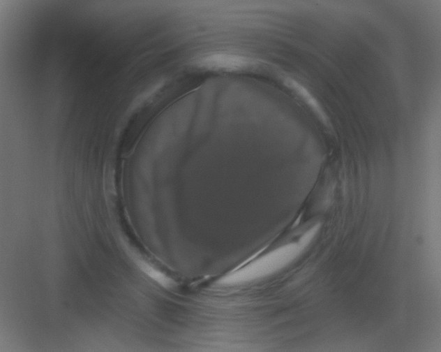 X0000081360399200702082326
