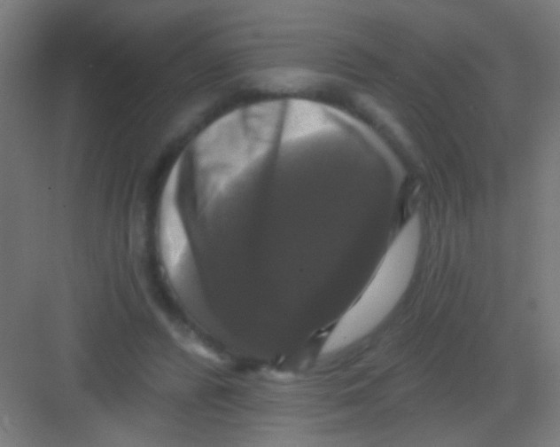 X0000081360400200702082326
