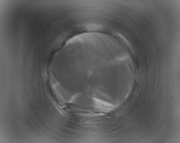 X0000081360405200702082325