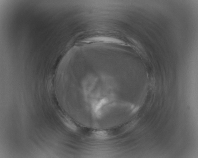 X0000081360409200702082325