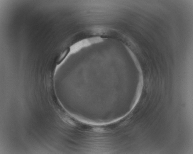 X0000081360413200702082325