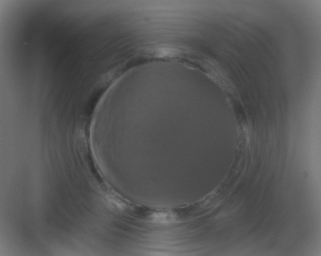 X0000081360415200702082325