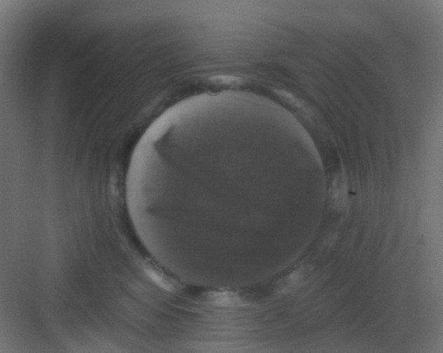 X0000081360424200702082325