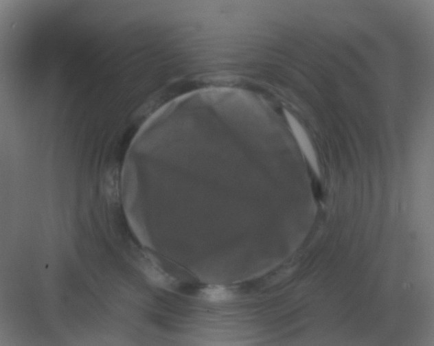 X0000081360425200702082325
