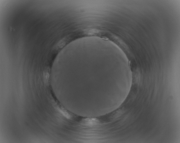 X0000081360427200702082325