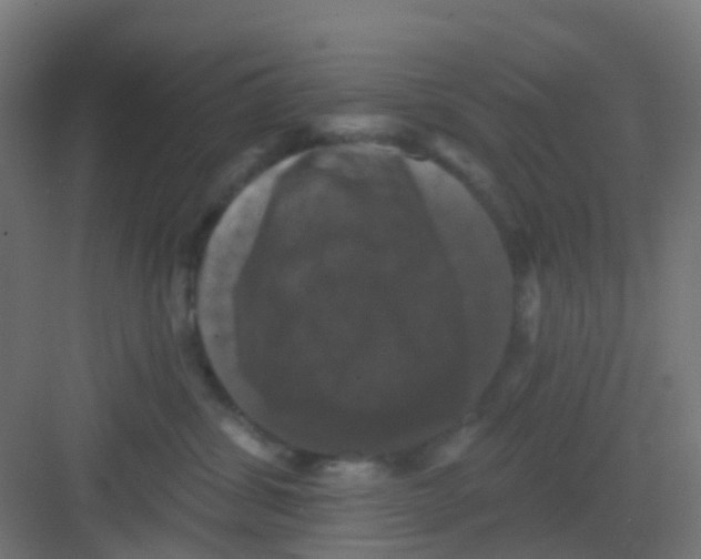 X0000081360428200702082325