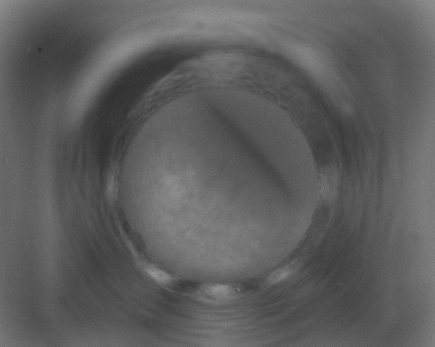 X0000081360431200702082325