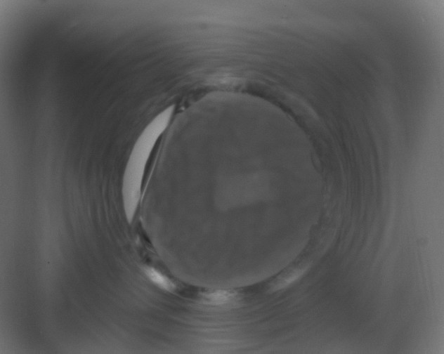 X0000081360432200702082325