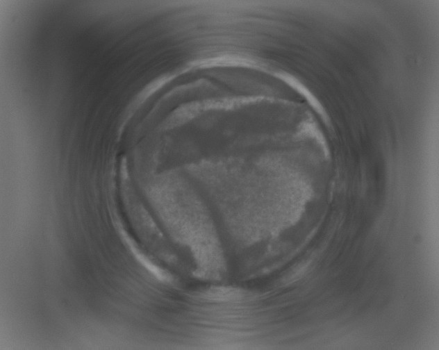 X0000081360437200702082324