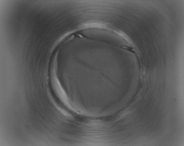 X0000081360438200702082324
