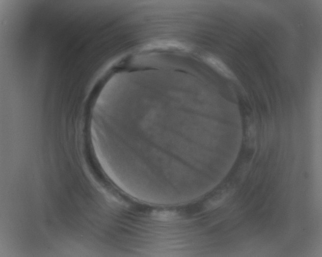 X0000081360440200702082324