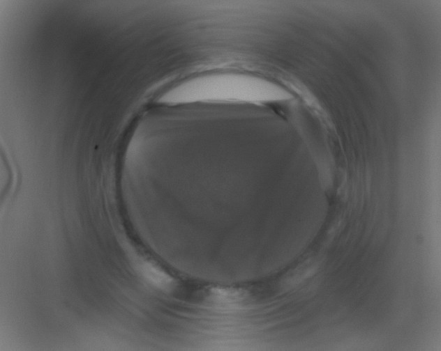 X0000081360442200702082324
