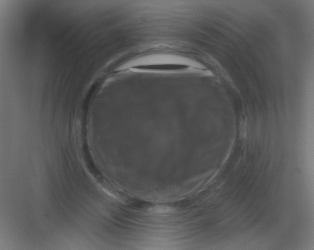 X0000081360444200702082324