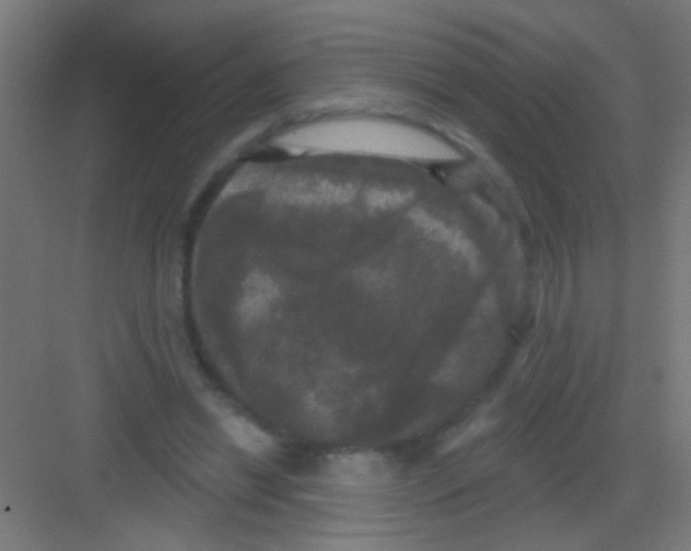 X0000081360446200702082324