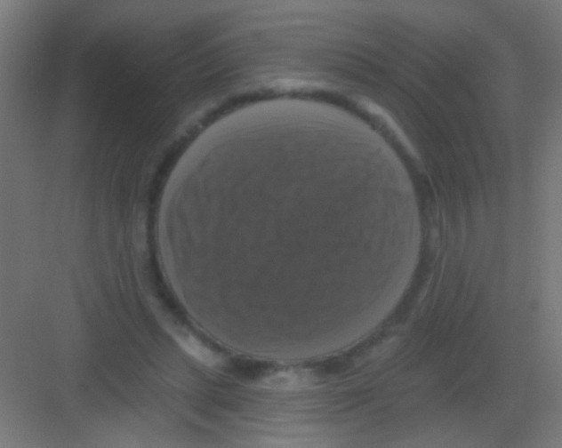 X0000081360447200702082324