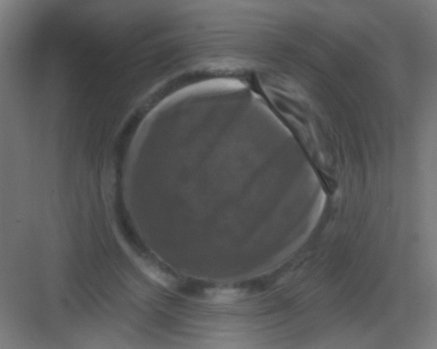 X0000081360448200702082324