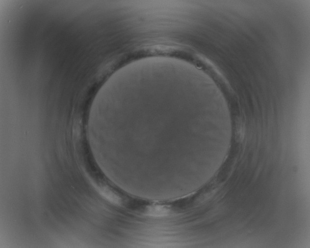 X0000081360451200702082324