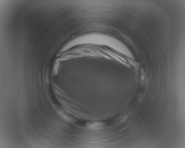 X0000081360452200702082325