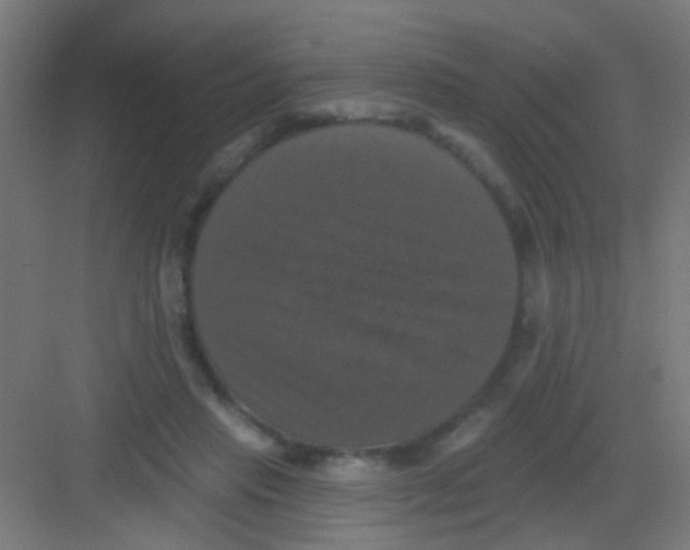 X0000081360453200702082325