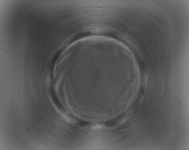 X0000081360456200702082325