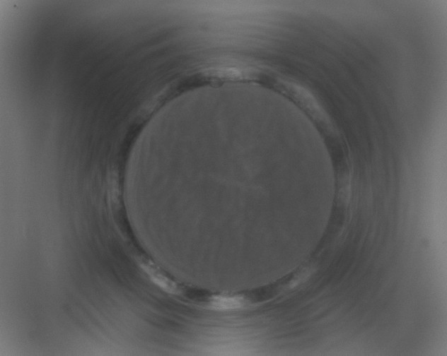 X0000081360457200702082325
