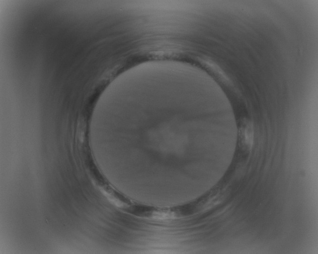 X0000081360458200702082325