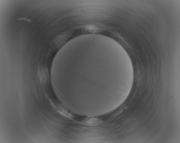 X0000081360459200702082325