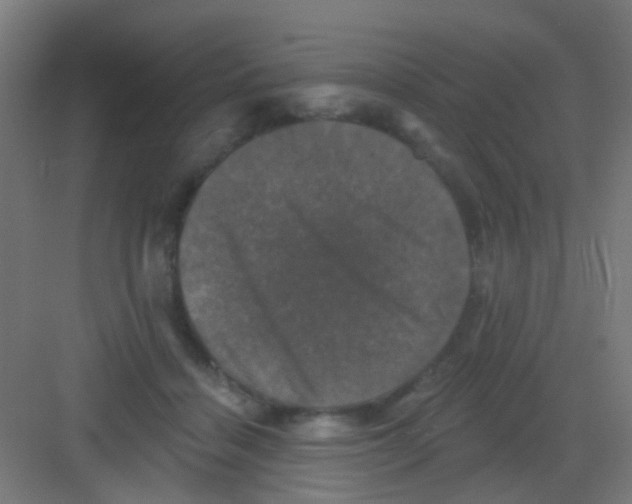 X0000081360460200702082325