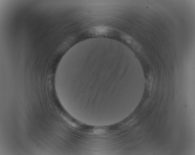 X0000081360462200702082325