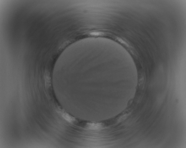 X0000081360469200702082325