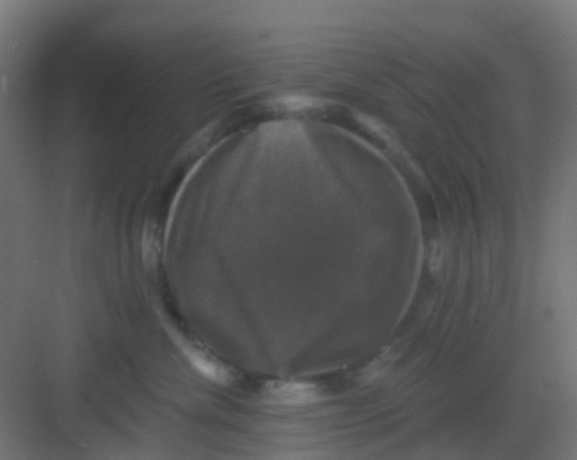X0000081360476200702082325