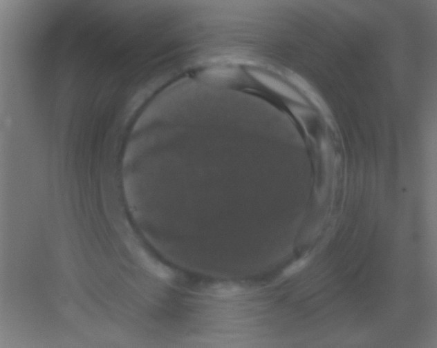 X0000081360481200702082324