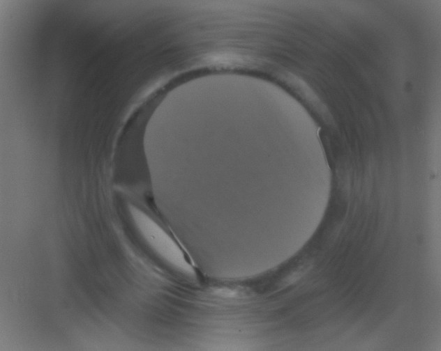 X0000081360488200702082324