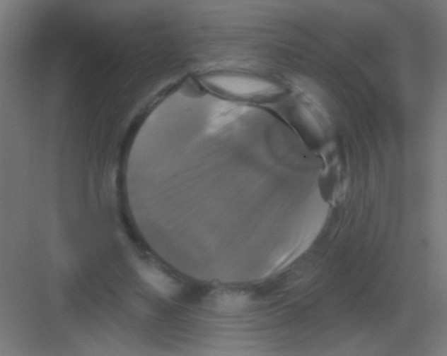 X0000081360491200702082324