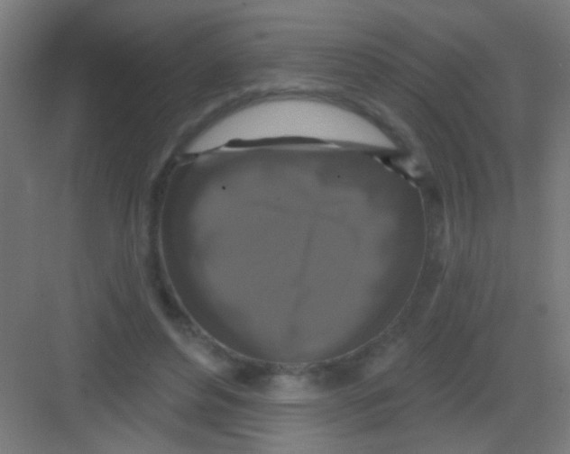 X0000081360496200702082324