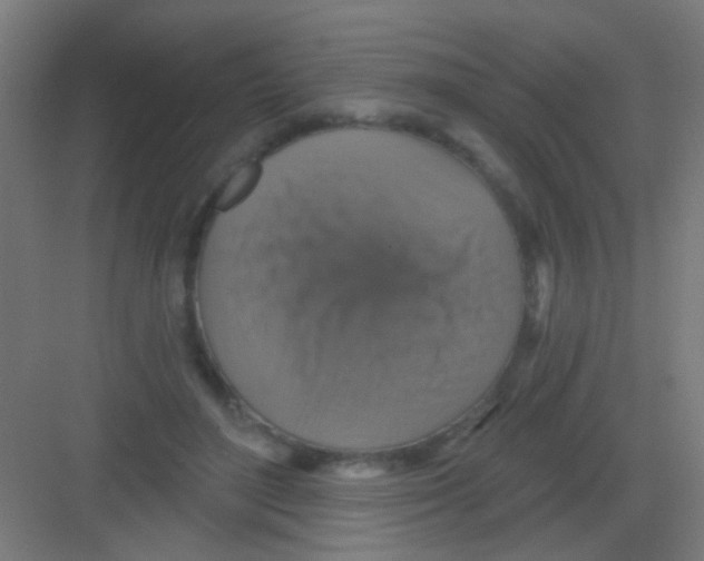 X0000081360500200702082324