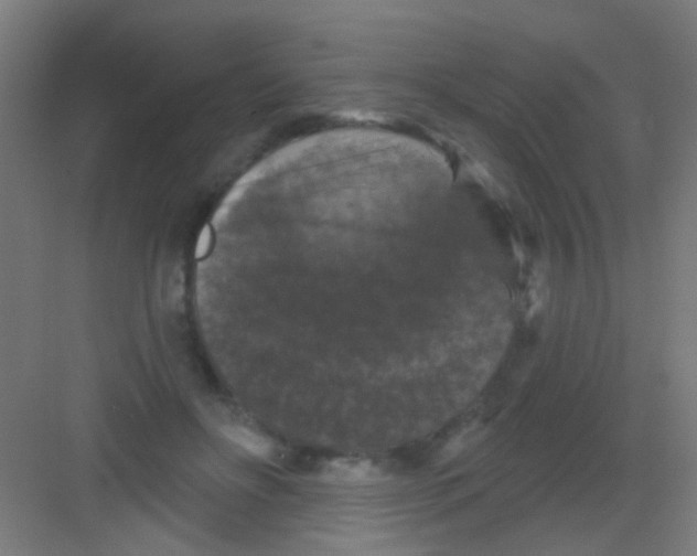 X0000081360502200702082324
