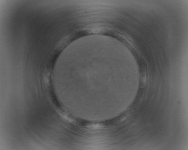 X0000081360503200702082324