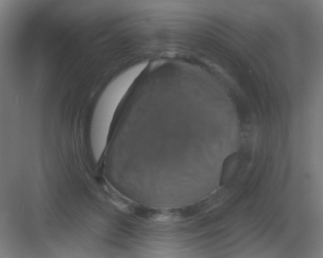 X0000081360504200702082324