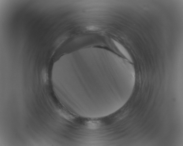 X0000081360508200702082324