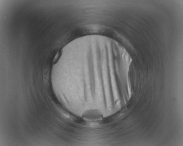 X0000081360509200702082324