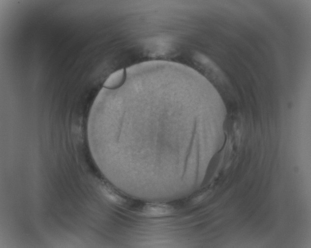 X0000081360510200702082324