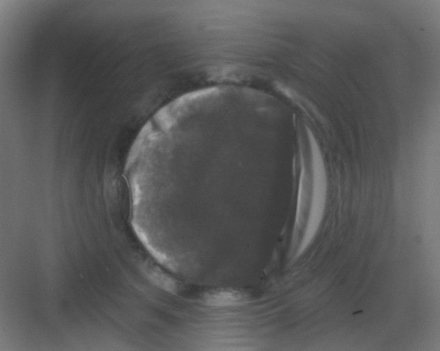 X0000081360513200702082324