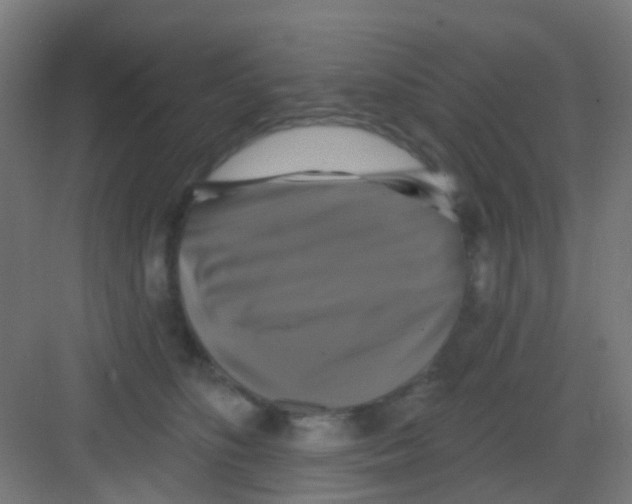 X0000081360516200702082324