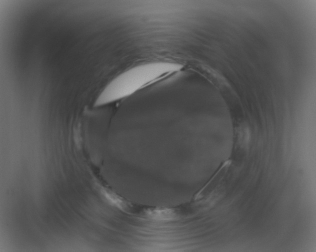 X0000081360517200702082324