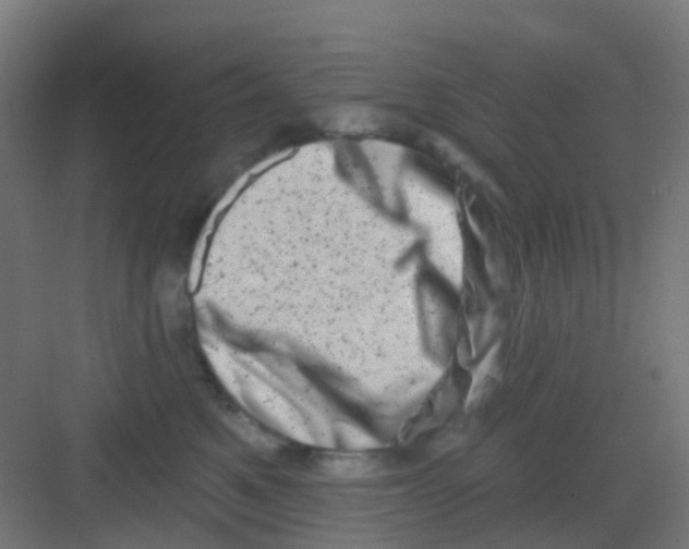 X0000081360521200702082324