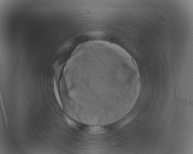 X0000081360528200702082323